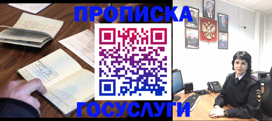 временная регистрация поиск в Новгородской области